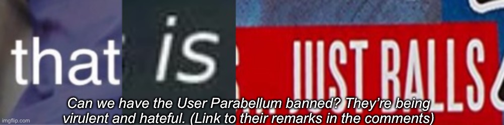 That is just balls | Can we have the User Parabellum banned? They’re being virulent and hateful. (Link to their remarks in the comments) | image tagged in that is just balls | made w/ Imgflip meme maker
