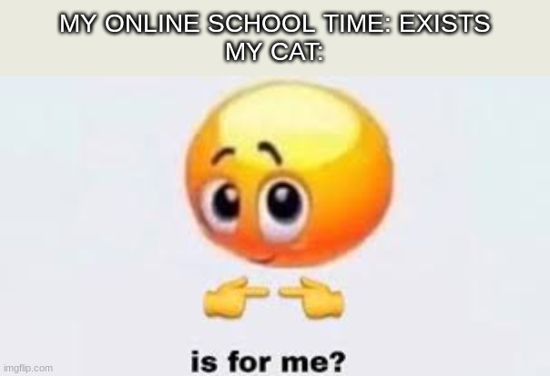 feature me Memenade | MY ONLINE SCHOOL TIME: EXISTS
MY CAT: | image tagged in notice me memenade san | made w/ Imgflip meme maker