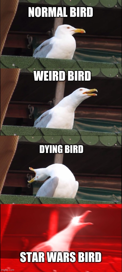 Inhaling Seagull Meme | NORMAL BIRD; WEIRD BIRD; DYING BIRD; STAR WARS BIRD | image tagged in memes,inhaling seagull | made w/ Imgflip meme maker