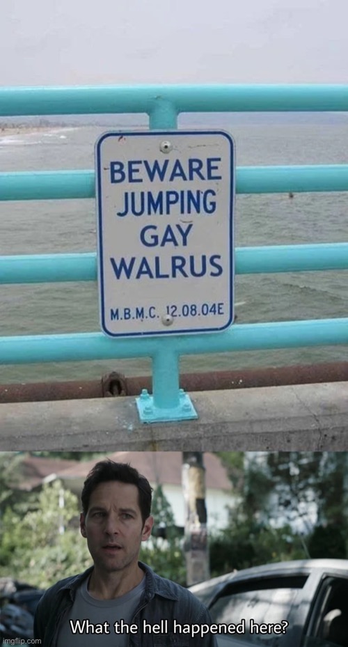 Strange warning signs week | image tagged in jumping gay walrus,warning sign,strange warning signs,what happened here | made w/ Imgflip meme maker