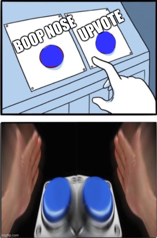 Two buttons press both | BOOP NOSE UPVOTE | image tagged in two buttons press both | made w/ Imgflip meme maker