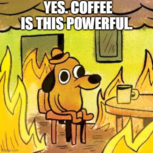 Dog in burning house |  YES. COFFEE IS THIS POWERFUL. | image tagged in dog in burning house | made w/ Imgflip meme maker