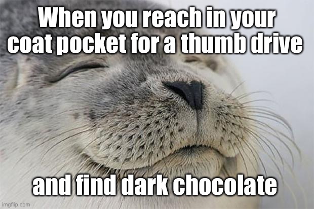 Life is Good | When you reach in your coat pocket for a thumb drive; and find dark chocolate | image tagged in memes,satisfied seal,dark chocolate,coat pocket | made w/ Imgflip meme maker
