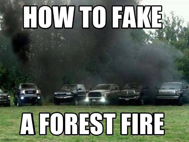 forest fire | image tagged in fire,trucks | made w/ Imgflip meme maker