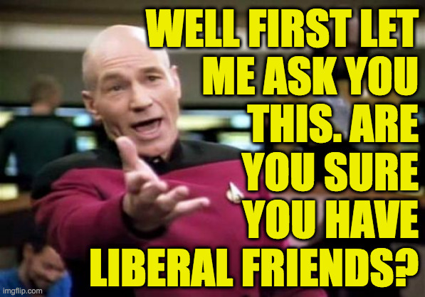 Picard Wtf Meme | WELL FIRST LET
ME ASK YOU
THIS. ARE
YOU SURE
YOU HAVE
LIBERAL FRIENDS? | image tagged in memes,picard wtf | made w/ Imgflip meme maker