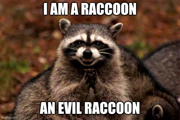 Evil Plotting Raccoon | I AM A RACCOON; AN EVIL RACCOON | image tagged in memes,evil plotting raccoon | made w/ Imgflip meme maker