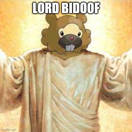 Lord Bidoof | LORD BIDOOF | image tagged in lord bidoof | made w/ Imgflip meme maker