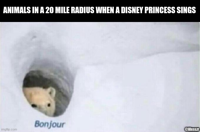 don't annoy me about reposts | ANIMALS IN A 20 MILE RADIUS WHEN A DISNEY PRINCESS SINGS; @iiixsszr | image tagged in bonjour bear | made w/ Imgflip meme maker