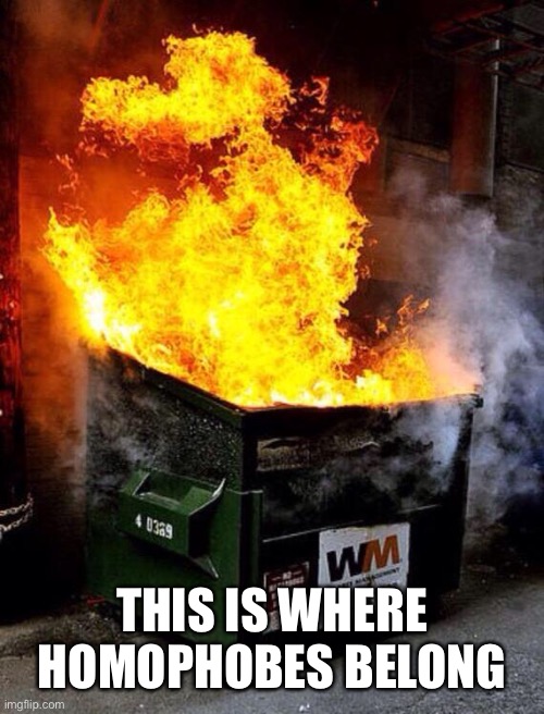 Dumpster Fire | THIS IS WHERE HOMOPHOBES BELONG | image tagged in dumpster fire | made w/ Imgflip meme maker