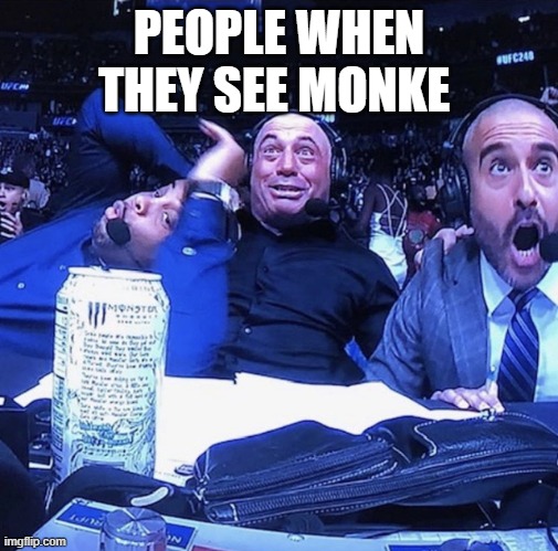 UFC flip out | PEOPLE WHEN THEY SEE MONKE | image tagged in ufc flip out | made w/ Imgflip meme maker