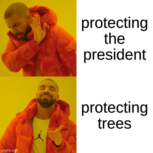 Drake Hotline Bling Meme | protecting the president protecting trees | image tagged in memes,drake hotline bling | made w/ Imgflip meme maker