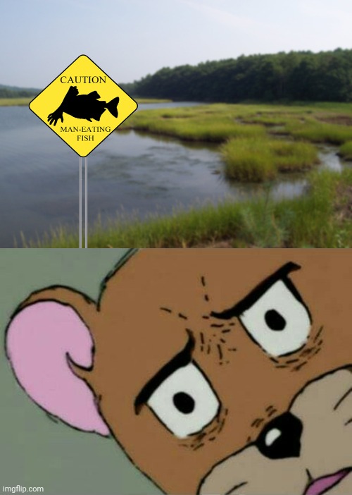 Caution: Man-eating fish | image tagged in unsettled jerry,caution sign,dark humor,memes,fish,meme | made w/ Imgflip meme maker
