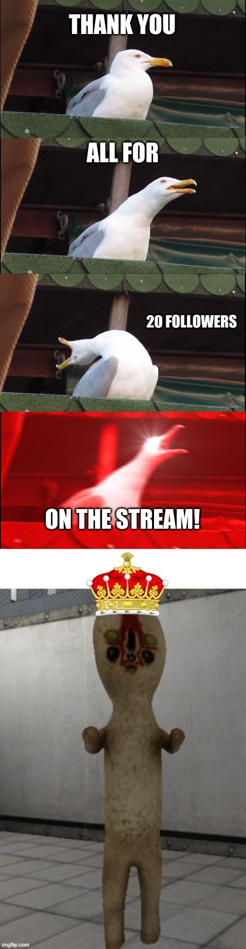 Thanks all! | THANK YOU; ALL FOR; 20 FOLLOWERS; ON THE STREAM! | image tagged in memes,inhaling seagull | made w/ Imgflip meme maker