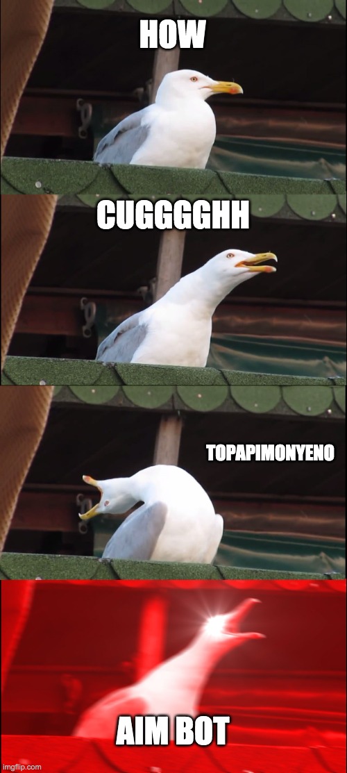 aim bot stages | HOW; CUGGGGHH; TOPAPIMONYENO; AIM BOT | image tagged in memes,inhaling seagull | made w/ Imgflip meme maker