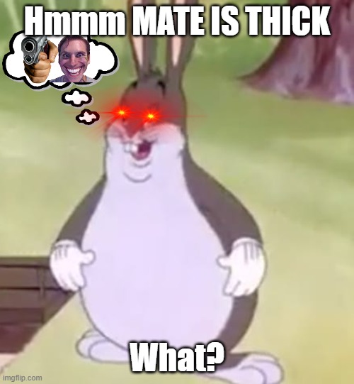 Big Chungus | Hmmm MATE IS THICK; What? | image tagged in big chungus | made w/ Imgflip meme maker