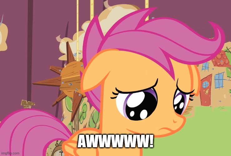 Aww, Scootaloo! (MLP) | AWWWWW! | image tagged in aww scootaloo mlp | made w/ Imgflip meme maker