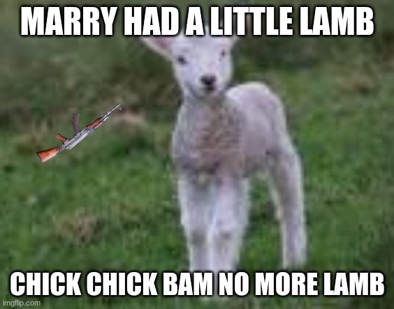 sad sad song | MARRY HAD A LITTLE LAMB; CHICK CHICK BAM NO MORE LAMB | image tagged in sad,sad but true | made w/ Imgflip meme maker