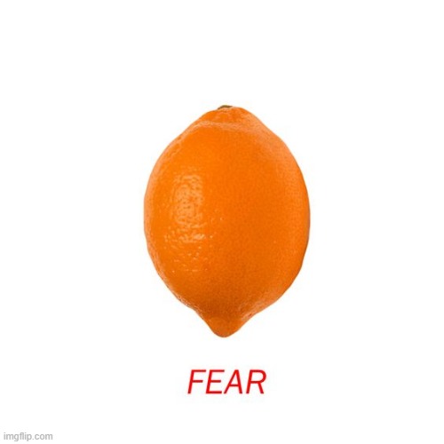 Fear | image tagged in memes | made w/ Imgflip meme maker