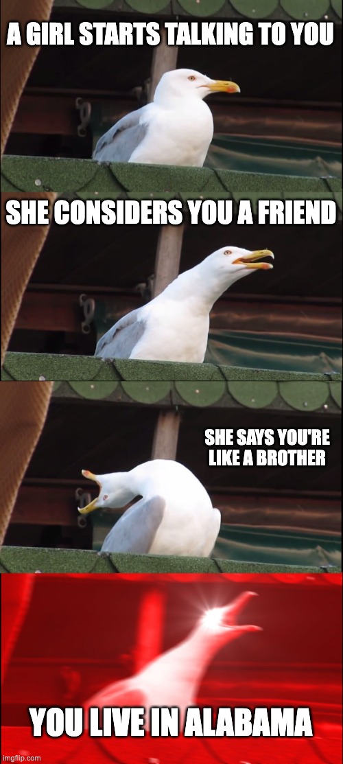 Inhaling Seagull | A GIRL STARTS TALKING TO YOU; SHE CONSIDERS YOU A FRIEND; SHE SAYS YOU'RE LIKE A BROTHER; YOU LIVE IN ALABAMA | image tagged in memes,inhaling seagull | made w/ Imgflip meme maker