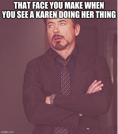 Ugh annoying | THAT FACE YOU MAKE WHEN YOU SEE A KAREN DOING HER THING | image tagged in memes,face you make robert downey jr | made w/ Imgflip meme maker