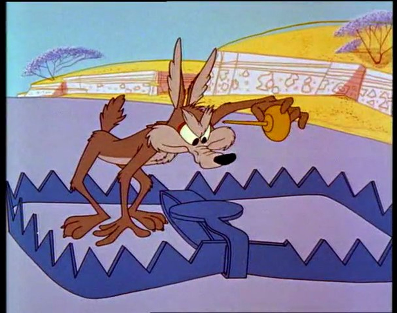 Wile E. Coyote's trap Blank Template - Imgflip