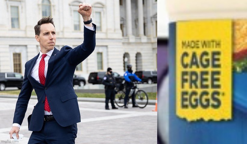 image tagged in traitor josh hawley | made w/ Imgflip meme maker