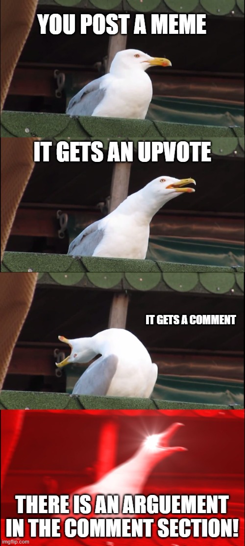 Inhaling Seagull Meme | YOU POST A MEME; IT GETS AN UPVOTE; IT GETS A COMMENT; THERE IS AN ARGUEMENT IN THE COMMENT SECTION! | image tagged in memes,inhaling seagull | made w/ Imgflip meme maker