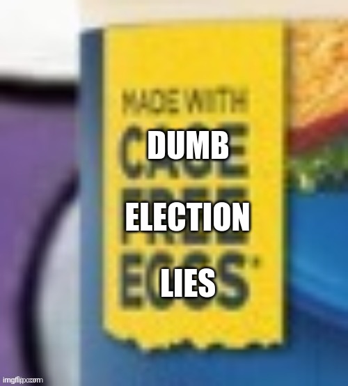 DUMB ELECTION LIES | made w/ Imgflip meme maker