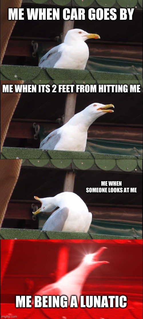 Inhaling Seagull | ME WHEN CAR GOES BY; ME WHEN ITS 2 FEET FROM HITTING ME; ME WHEN SOMEONE LOOKS AT ME; ME BEING A LUNATIC | image tagged in memes,inhaling seagull | made w/ Imgflip meme maker