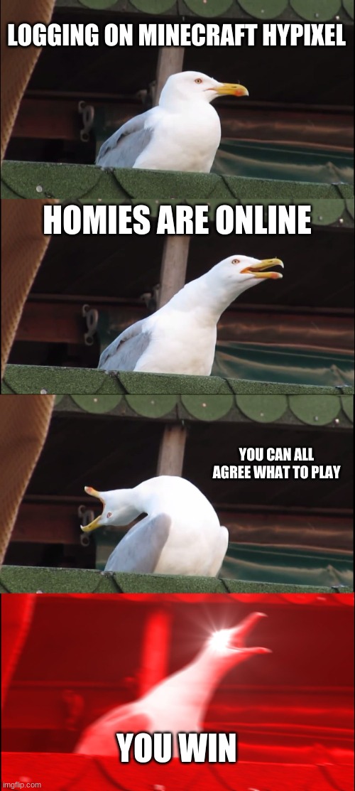 Inhaling Seagull Meme | LOGGING ON MINECRAFT HYPIXEL; HOMIES ARE ONLINE; YOU CAN ALL AGREE WHAT TO PLAY; YOU WIN | image tagged in memes,inhaling seagull | made w/ Imgflip meme maker