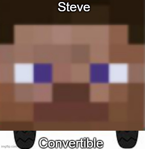 steve convertible be like: | Steve; Convertible | image tagged in minecraft steve | made w/ Imgflip meme maker
