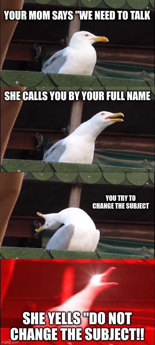 Mother? | YOUR MOM SAYS "WE NEED TO TALK; SHE CALLS YOU BY YOUR FULL NAME; YOU TRY TO CHANGE THE SUBJECT; SHE YELLS "DO NOT CHANGE THE SUBJECT!! | image tagged in memes,inhaling seagull | made w/ Imgflip meme maker