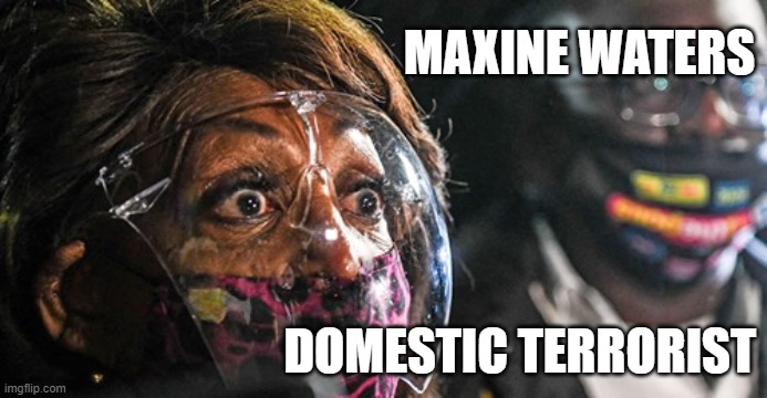 Maxine Waters - Domestic Terrorist | MAXINE WATERS; DOMESTIC TERRORIST | image tagged in maxine waters,terrorism,blm,democrats,liberals | made w/ Imgflip meme maker