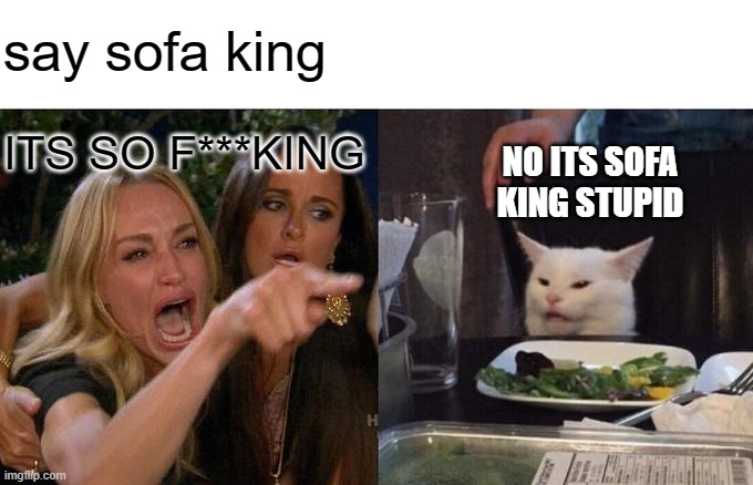 Woman Yelling At Cat Meme | say sofa king; ITS SO F***KING; NO ITS SOFA KING STUPID | image tagged in memes,woman yelling at cat | made w/ Imgflip meme maker