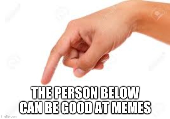 True Or Not? | THE PERSON BELOW CAN BE GOOD AT MEMES | image tagged in the person below | made w/ Imgflip meme maker