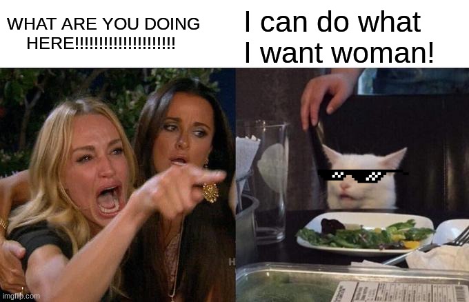 Woman Yelling At Cat Meme | WHAT ARE YOU DOING           HERE!!!!!!!!!!!!!!!!!!!!! I can do what I want woman! | image tagged in memes,woman yelling at cat | made w/ Imgflip meme maker