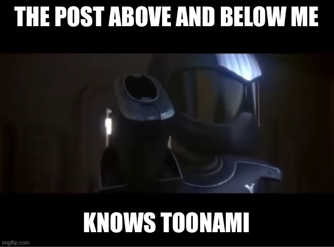 You came into the wrong house | THE POST ABOVE AND BELOW ME; KNOWS TOONAMI | image tagged in you came into the wrong house | made w/ Imgflip meme maker
