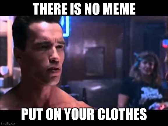 Terminator I Need Your Clothes | THERE IS NO MEME; PUT ON YOUR CLOTHES | image tagged in terminator i need your clothes | made w/ Imgflip meme maker