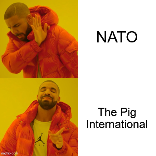 NATO is little more than the Murican Foreign Lesion | NATO; The Pig
International | image tagged in memes,drake hotline bling | made w/ Imgflip meme maker