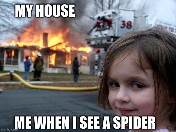 Disaster Girl | MY HOUSE; ME WHEN I SEE A SPIDER | image tagged in memes,disaster girl | made w/ Imgflip meme maker