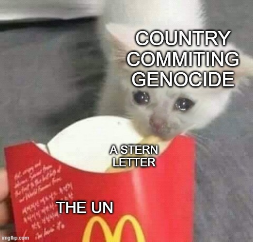 fry cat | COUNTRY COMMITING GENOCIDE; A STERN LETTER; THE UN | image tagged in fry cat | made w/ Imgflip meme maker