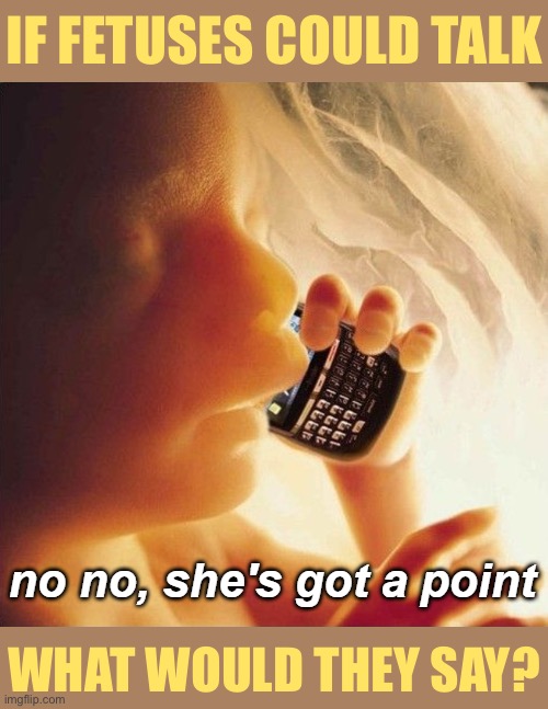 Do you think they’d be a-okay with being aborted? [I have my own views on this, but wanted to get your thoughts.] | IF FETUSES COULD TALK; WHAT WOULD THEY SAY? | image tagged in fetus phone no no she's got a point | made w/ Imgflip meme maker