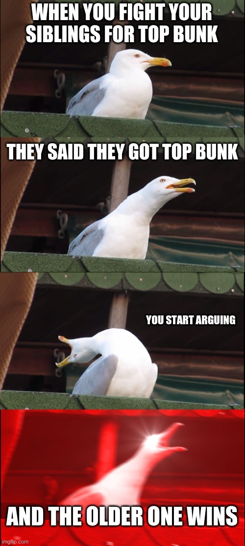 Fighting your siblings for top bunk. | WHEN YOU FIGHT YOUR SIBLINGS FOR TOP BUNK; THEY SAID THEY GOT TOP BUNK; YOU START ARGUING; AND THE OLDER ONE WINS | image tagged in memes,inhaling seagull | made w/ Imgflip meme maker