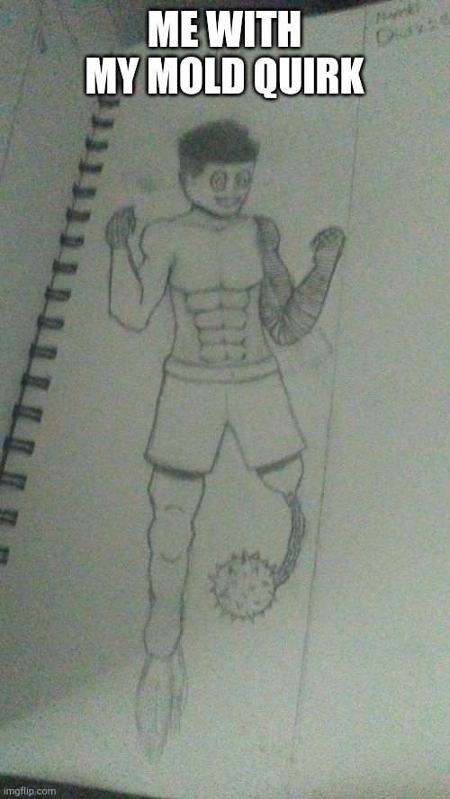 Sry for the bad quality | ME WITH MY MOLD QUIRK | made w/ Imgflip meme maker