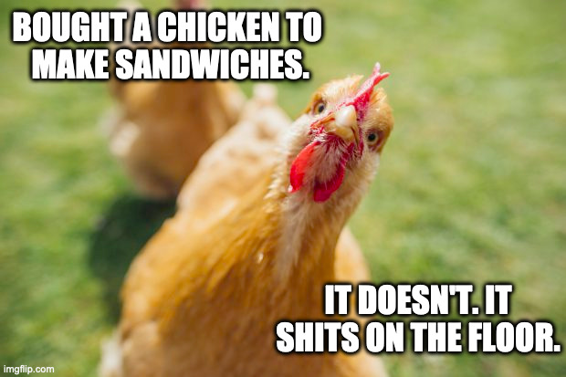 Chicken Sandwiches |  BOUGHT A CHICKEN TO 
MAKE SANDWICHES. IT DOESN'T. IT SHITS ON THE FLOOR. | image tagged in chicken,sandwiches,vegan | made w/ Imgflip meme maker