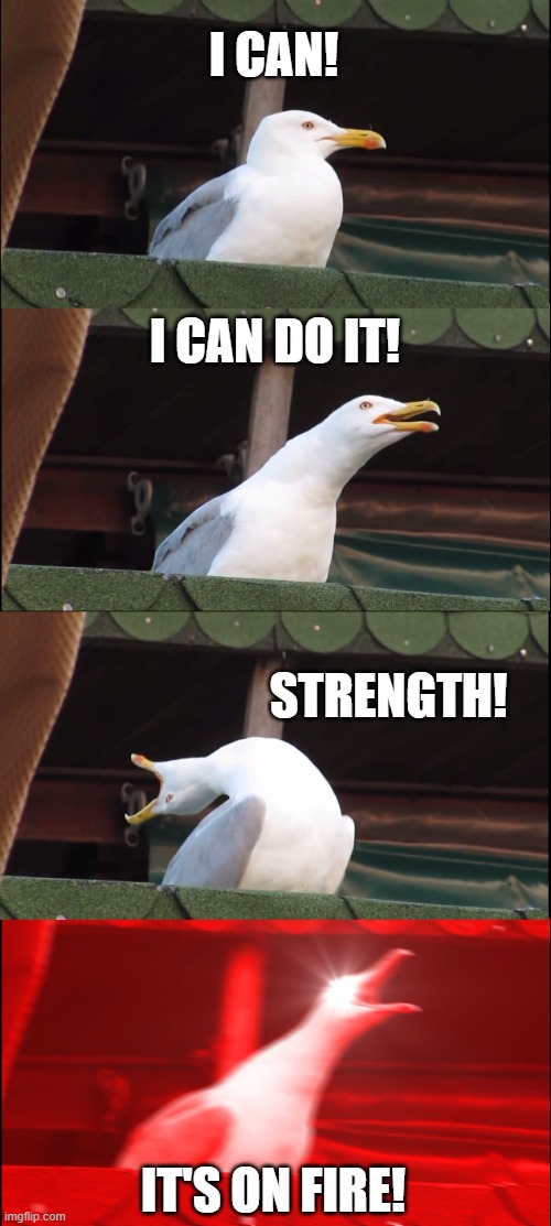 It's on fire! | I CAN! I CAN DO IT! STRENGTH! IT'S ON FIRE! | image tagged in memes,inhaling seagull | made w/ Imgflip meme maker