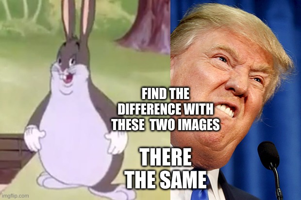 FIND THE DIFFERENCE WITH THESE  TWO IMAGES; THERE THE SAME | image tagged in donald trump,big chungus | made w/ Imgflip meme maker