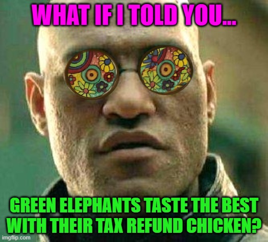 Acid kicks in Morpheus | WHAT IF I TOLD YOU... GREEN ELEPHANTS TASTE THE BEST
WITH THEIR TAX REFUND CHICKEN? | image tagged in acid kicks in morpheus | made w/ Imgflip meme maker