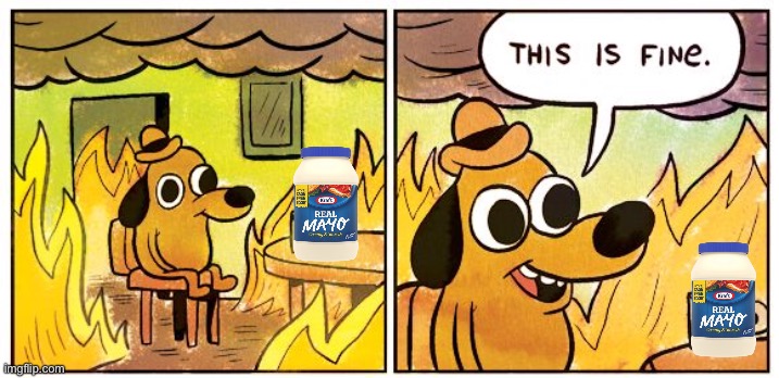 How to distract Conservatards in a burning house | image tagged in memes,this is fine | made w/ Imgflip meme maker