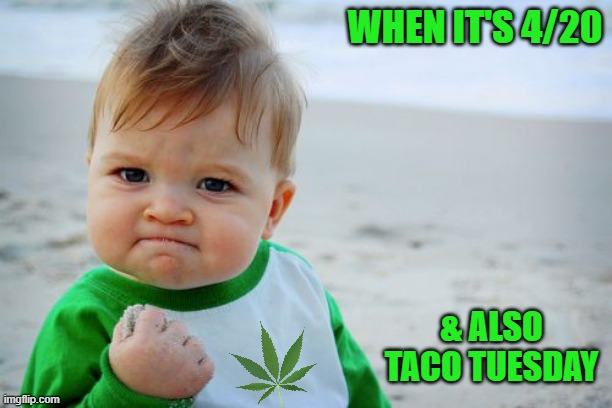 Happy 4/20 Imgflippers! | WHEN IT'S 4/20; & ALSO TACO TUESDAY | image tagged in memes,success kid original,happy 420,taco tuesday | made w/ Imgflip meme maker